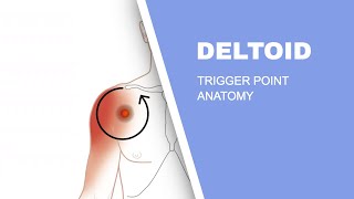 Shoulder Pain  Deltoid Muscle Trigger Points Explained [upl. by Ahsemit]