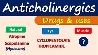 Anticholinergics  Drugs and uses [upl. by Trow]