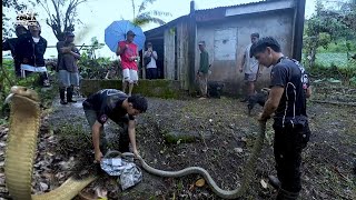 GA HITA AT GA BRASO NA MGA KING COBRA HULI KAY COBRA PRINCE PATAY SA TUKLAW 😔 [upl. by Maidel]