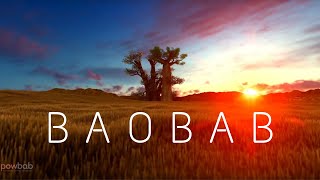 The Majestic Baobab Tree  Learn Facts about Tree and Baobab Fruit [upl. by Gnurt]