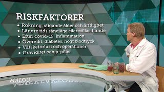 Så farlig är en blodpropp – det är varningssignalerna  Malou Efter tio TV4 [upl. by Aivirt671]