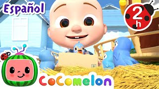 ¡CoComelon  ITSY BITSY PAJARITO  Canciones Infantiles en Español Latino [upl. by Otrebireh]