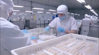 Manufacture processing of Konjac NoodlesNatureFlo Ingredients [upl. by Nongim]