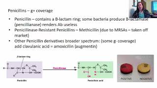 Chapter 20 Antimicrobial Drugs [upl. by Ilenna]