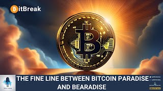 THE FINE LINE BETWEEN BITCOIN PARADISE AND BEARADISE [upl. by Mears]