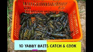 10 BEST YABBIES RED CLAW BAITS TO CATCH MORE FISHING AUSTRALIA YABBY CATCH AND COOK [upl. by Ilene758]