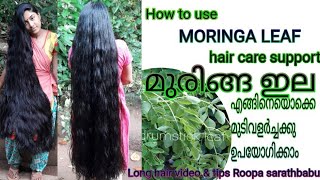 How to use MORINGA leaf for hair care മുരിങ്ങ ഇല എങ്ങിനെ മുടിവളർച്ചക്കു ഉപയോഗിക്കാം [upl. by Einhpets997]