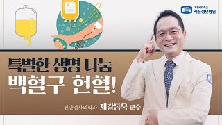 특별한 생명 나눔 백혈구 헌혈  서울성모병원 제갈동욱 교수 [upl. by Manley]