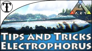 Fast Electrophorus Taming Guide  Ark  Survival Evolved Tips and Tricks [upl. by Mindy890]