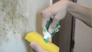 How to clean dirty walls easily  DIY 2017 [upl. by Scevor690]