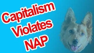 Capitalism Violates NAP  Radical Reviewer [upl. by Mackey]