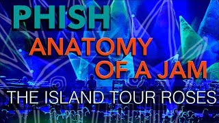 Phish  Anatomy of A Jam  Island Tour Roses Are Free 4398 [upl. by Aikimat153]