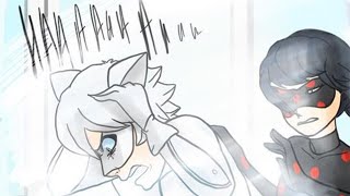 Mariblanc AU Miraculous Ladybug Comic Dub [upl. by Ardnoid]