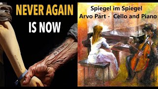 Arvo Part  Spiegel im Spiegel [upl. by Phelia206]