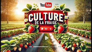 Les fraisiers de A à Z  de la plantation à la récolte  jeu concours [upl. by Elmaleh]