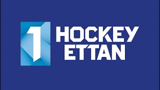 Ranking HockeyEttan Goal Horns 2324 [upl. by Maclean]