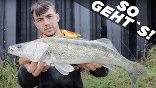 RAUBFISCH angeln mit Köderfisch 🎣🤩👍🏻 Für Anfänger HomeOfPredatorFishing [upl. by Codie747]