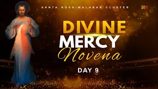 Divine Mercy Novena  Day 9 [upl. by Bigg771]