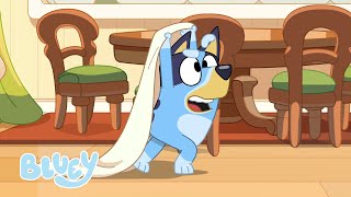 Crazy Walks  Housework  Bluey [upl. by Omora]