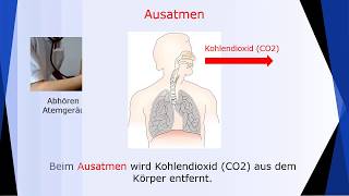 Fit für die Pflege Diese AtmungssystemVokabeln solltest du unbedingt kennen Deutsch lernen [upl. by Ridan]