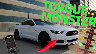 Driving a Stage 2 tuned Mustang Ecoboost EPIC SOUND [upl. by Randy153]