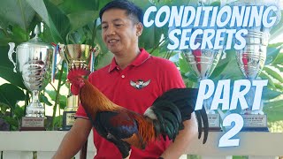 Part 2  Ang Sikreto Sa Pagkukundisyon Ng Manok Panabong [upl. by Hannus295]