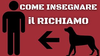 Insegnare al cucciolo IL RICHIAMO [upl. by Meisel663]