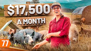 Starting a 188Kyear Pig Farm Business from Scratch [upl. by Angelis]