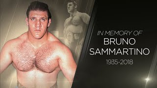 WWE pays tribute to Bruno Sammartino [upl. by Riker865]