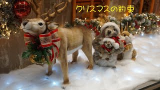 クリスマスの約束・・・ゆずおだ [upl. by Amjan]