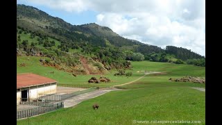 Recinto de los elefantes  Parque de Cabarceno CantabriaEspaña [upl. by Marcela]