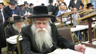 Bobov Satmer Chabad [upl. by Hephzipah]