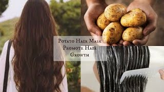 DIY Potato Hair Mask  Promote Hair Growth [upl. by Ziladnerb]