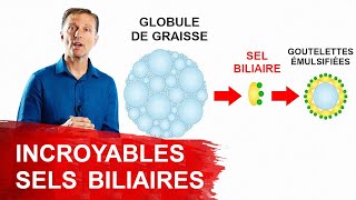 Sels Biliaires Tout Ce Que Vous Devriez Savoir Bienfaits Contre Indication Carence lDr Eric Berg [upl. by Featherstone950]