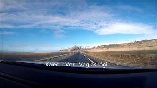 Kaleo  Vor Í Vaglaskógi Lyrics [upl. by Gnal]