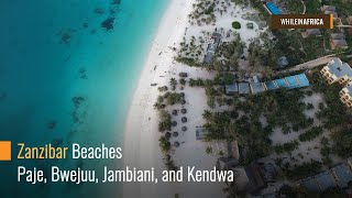 How Zanzibar Beaches Look Like in 2019 Paje Bwejuu Jambiani and Kendwa [upl. by Ailedua]