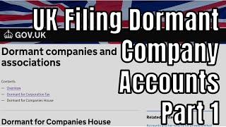 Filing Dormant Limited Company Accounts Part 1 Accounts to Companies House [upl. by Orel]