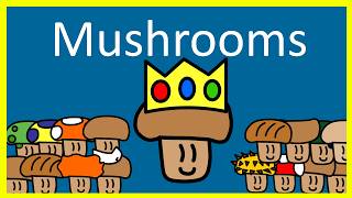 The very basics of mushrooms [upl. by Taryn]