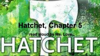 Hatchet by Gary Paulsen Chapter 5 read aloud by Ms Love [upl. by Theall]