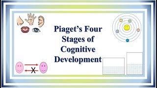 Piaget’s Four Stages of Cognitive Development [upl. by Anneuq]