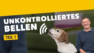 Unkontrolliertes Bellen Teil 1 So lenkst du deinen Hund vom Bellen ab Training 20 2020 [upl. by Ahsurej543]