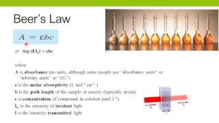 Spectrophotometric Enzyme Assays [upl. by Walden]