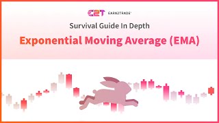 Exponential Moving Average Trading Strategies Explained [upl. by Euqinomahs]