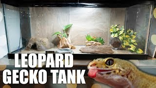 NEW LEOPARD GECKO SETUP 🦎 [upl. by Jepum]