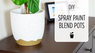 DIY Spray Paint Plant Pot  Save  with easy Decorating Ideas for your Home [upl. by Yentrok]