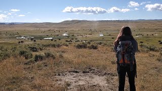 Mary Mountain Trail  Trapped By Bison Herd During Rut  Yellowstone [upl. by Mena]