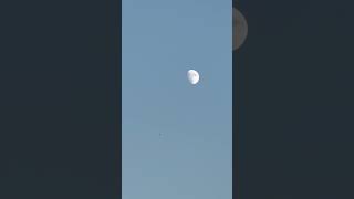 Zooming in on the MooniPhone Pro Max 14 zooming zoom moon use iphone sky ruthcagayanvlog [upl. by Ecirtnom]