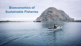 Bioeconomics of Sustainable Fisheries [upl. by Naaitsirhc]