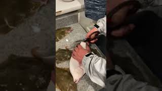 How To Prepare A Flounder With Scissors ✂️ 🐠 🎣 [upl. by Eural]