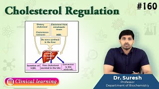 160 Cholesterol Regulation [upl. by Jillene]